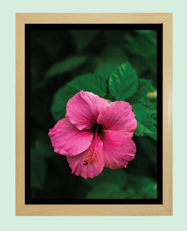 Photo Frame (Size: 12" X 14")