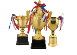 inoveracreation_trophy